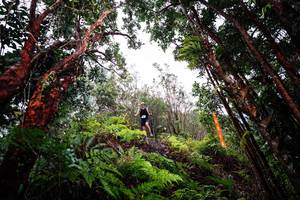 BIB: 
                            <button type="button" onclick="openModal(26201572)" class="btn btn-primary btn-sm float-right btn-popup" data-toggle="modal" data-target=".modal-high-quality">
                        <i class="fas fa-shopping-cart"></i> Add to Cart
                    </button>
                                            <button type="button" onclick="isThisMe(26201572, true)" class="btn btn-success btn-sm float-right btn-popup btn-isme hidden" data-toggle="tooltip" data-placement="bottom" title="นี่คือรูปของคุณใช่ไหม คลิกที่นี่เพื่อเอาเข้าอัลบั้ม">
                        <i class="fas fa-plus"></i> Add to album
                    </button>
                    <button type="button" onclick="isThisMe(26201572, false)" class="btn btn-warning btn-sm float-right btn-popup btn-isnotme hidden">
                        <i class="fas fa-ban"></i> Remove from album
                    </button>